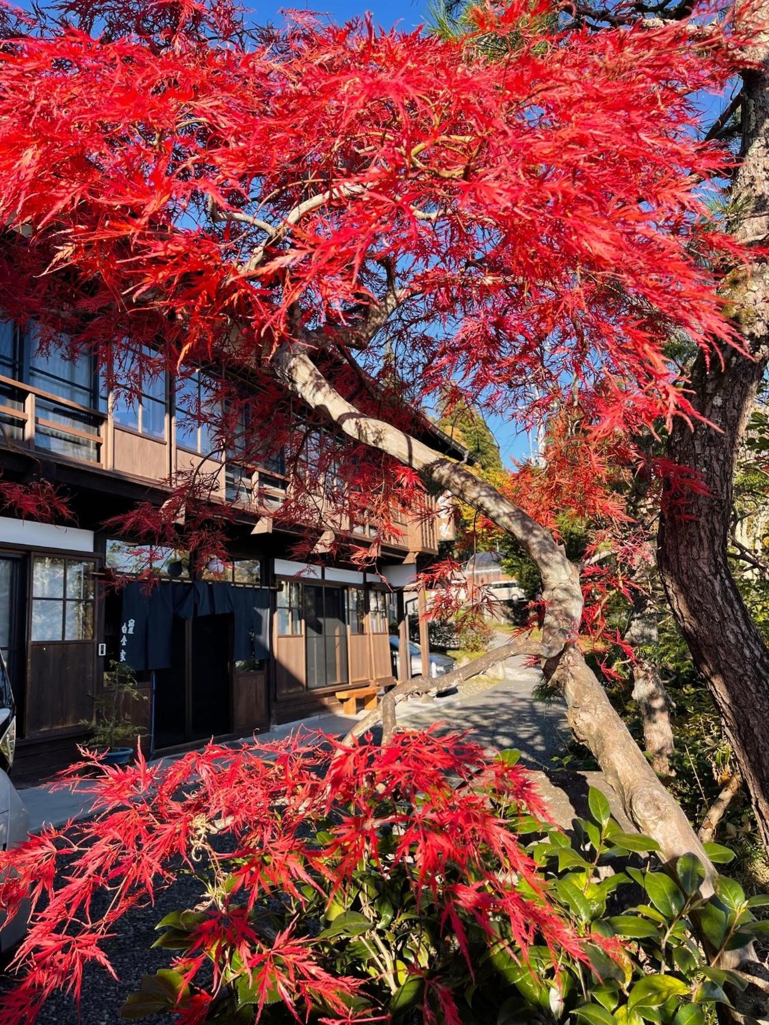 宿屋白金家 Yadoya-Shiroganeya 1日1組限定2名から8名様まで 全館貸切り 伝統的建造物の旅籠宿 Traditional Culture Experience 나가노 외부 사진